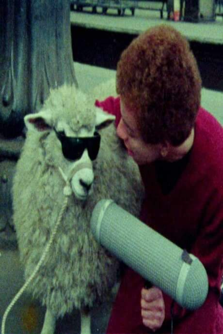 The Punk Kebab Documentary